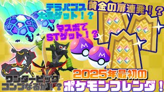 【2025年最初】ST続々登場！新年最初のポケモンフレンダ！！！#ポケモンフレンダ