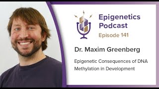 Epi Podcast #141 - Epigenetic Consequences of DNA Methylation in Development with Maxim Greenberg