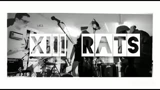 13 RATS-Laboratory Rats