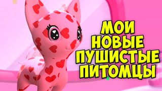 😍НОВЫЙ ПИТОМЕЦ❤️КОТЕНОК и ДЕЛЬФИН Ухаживаю за малышами тамогочи