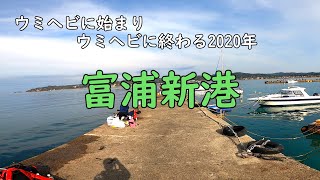 【富浦新港】年末の内房で釣り納め！【海釣り】