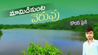 Mamidikunta Cheruvu|మామిడికుంట చెరువు|Sabbitham|Peddapalli District|KarthikRoseVlogs