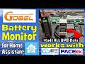 Gobel Power Battery Monitoring Kit and Home Assistant Integration - All your PACE and JK BMS in HA!
