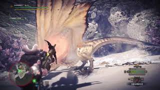 Monster Hunter World 魔物獵人世界 必刷風漂龍裝