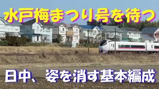 【姿を消す基本編成】特急水戸梅まつり号を待ちながら、ダイヤ改正で姿を消すE531系基本編成を眺めてみた。常磐線、土浦以北日中の時間帯の記録映像です。