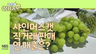 [역전의부자농부 267회] 샤인머스캣 직거래 판매 연 매출은?