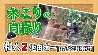 【木こりの自撮り】池田太一さん｜はなぶさ特殊伐採【杣人２】