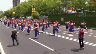 第40回ひろしまフラワーフェスティバル(2016/5/5)「びさんじん」