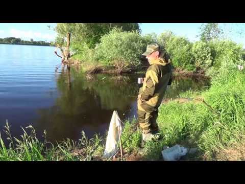 Река мста рыбалка видео Река мста рыбалка видео