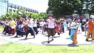 2014.6.8　名大祭　総踊り　名古屋でGO２！