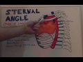 sternal angle anatomy lecture for medical students usmle step 1