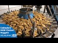 Cabinplant Multihead Weigher with Vibratory Feed for Breaded Chicken | Food Industry Automation