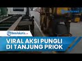 Viral Video Pungli di Pelabuhan Tanjung Priok, Ternyata Pelakunya Pegawai