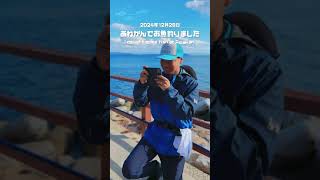 2024年12月28日あわかんでお魚釣りましたー♪IN淡路島