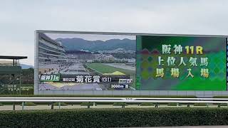 2021 第82回 菊花賞 本馬場入場 タイトルホルダー