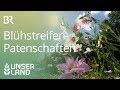 Gegen das Artensterben: Blühstreifen-Patenschaften | Unser Land | BR Fernsehen