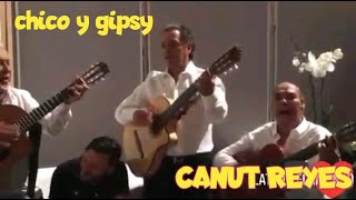 Canut Reyes & Chico y Gipsy live