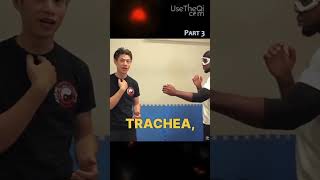 3 Most Dangerous Wing Chun Techniques Part 3 #shorts