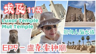 【🇪🇬埃及探秘】3公里長的獅身人面大道🦁️｜與古埃及眾神共舞🕺｜祭祀樂器｜紙莎草造的石柱｜法老誕生之謎🤫｜Mut+Luxor神廟🔍 ｜🍽️埃及民居餐廳V.S開羅5星級酒店西餐🌟｜穿越時空的靈性之旅🕰️