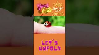 Good Luck Chuck | Lucky Charms | Lucky Signs | How to be Lucky?| Attract Luck, Love,  Money