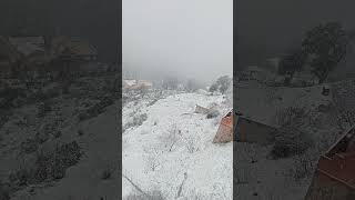 #snow #snowfall #kabylie #algerie #kabyle #algérie #femmealgerienne #gâteau #رمضان