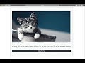 Firebase Web Retrieve Image & Firebase Web Retrieve Data - Firebase Storage on the Web Tutorial 12