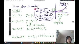 Euler's method of EM3 Assign