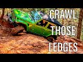 JL 37s Crawling 