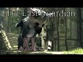 The Last Guardian (PS4) - E3 2015 Announcement Trailer [1080p] TRUE-HD QUALITY