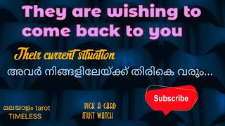 അവർ നിങ്ങളിലേയ്ക്ക് തിരികെ വരും Their currentsituation they will come to you #malayalam-tarot #tarot