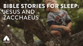 Bible Stories for Sleep: Jesus and Zacchaeus