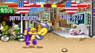 FT5 @sf2hf: perro callejero (US) vs DJILK-SF2TV (US) [Street Fighter II HF Fightcade] Jan 21