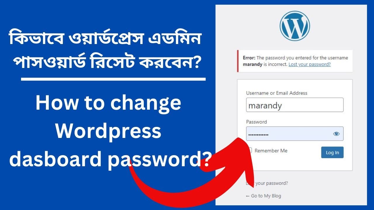 How To Change Your Wordpress User Password From CPanel 2023 | Wordpress ...