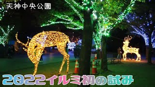 天神中央公園　初イルミネーション点灯（2022/11/17）QTnet presents 光のフォレスト