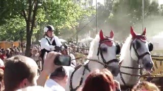 A Lázár testvérek az élen Fábiánsebestyénben (2016.05.07.)