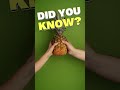 Interesting facts about pineapples