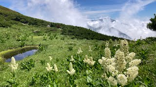 2024年8月  北アルプス立山でキャンプ  龍王岳〜浄土山  登山