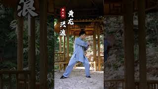 练一时之拳，养一身之气。#太乙游龙拳 #居家锻炼 #道家养生 #太极