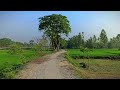 গ্রামের মেঠো পথ মন জুড়ানো গ্রামের দৃশ্য