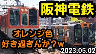 尼崎駅で阪神電車を撮ったら、オレンジ色の車両が多過ぎたw ～ 阪神タイガース ～ 読売ジャイアンツ