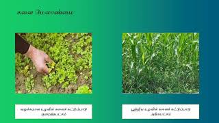 வழக்கமான உழவுக்கும் பூஜ்ஜிய உழவுக்கும் இடையிலான வேறுபாடு | CONVENTIONAL TILLAGE VS ZERO TILLAGE