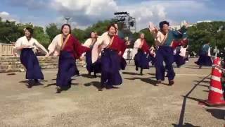 第16回ひめじ良さ恋まつり 2日目 大手前公園 チーム鬼灯