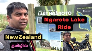 Lake Ngaroto Ride | உலக சமையல் | தமிழில் | நியூசிலாந்து | New Zealand | Tamil