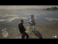 all 69 unique horses with map locations in red dead redemption 2