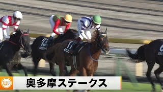 【2022】奥多摩ステークス 東京競馬場10R ｜ウイニング競馬 2022年11月12日（土）