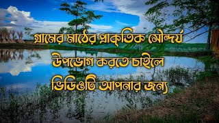 গ্রামের মাঠের প্রাকৃতিক সৌন্দর্য উপভোগ করুন । Enjoy the natural beauty of the village field ।