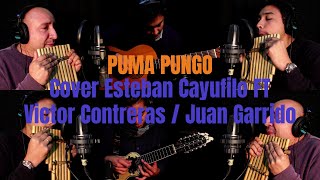 Puma Pungo - Altiplano #cover