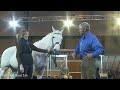 martin clunes and monty roberts discuss horsepower at beta international horse show