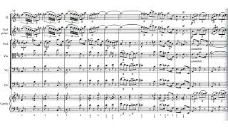 Brandenburg Concerto No. 5 in D - 3rd Movement - Bach // SCORE WITH MUSIC