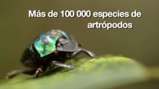 Ecuador presenta la Estrategia Nacional de Biodiversidad